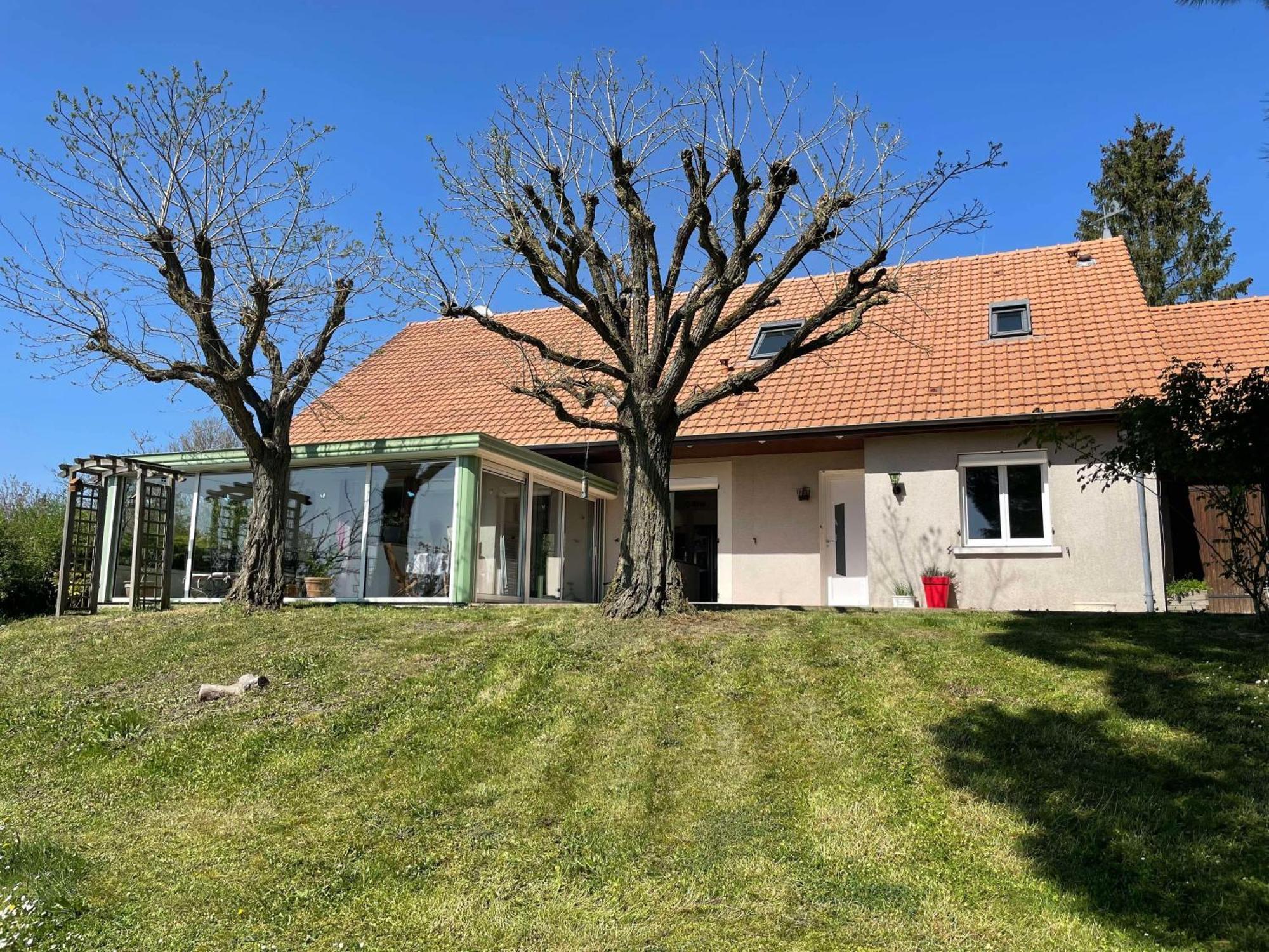 Des Roux Et Des Pious Suite De 35 A 60 M2 Et 3 Chambres Pour Groupe De 2 A 6 Personnes Civray-de-Touraine Exteriér fotografie