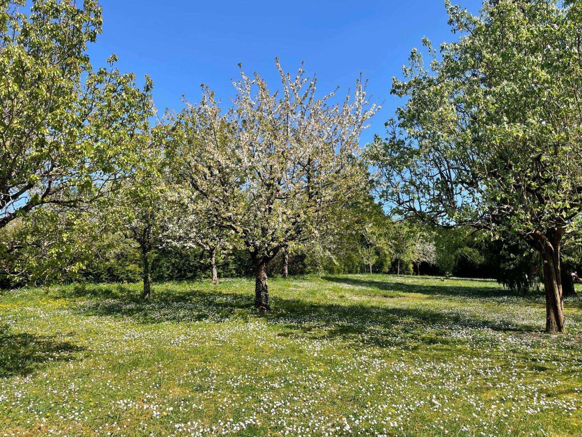 Des Roux Et Des Pious Suite De 35 A 60 M2 Et 3 Chambres Pour Groupe De 2 A 6 Personnes Civray-de-Touraine Exteriér fotografie
