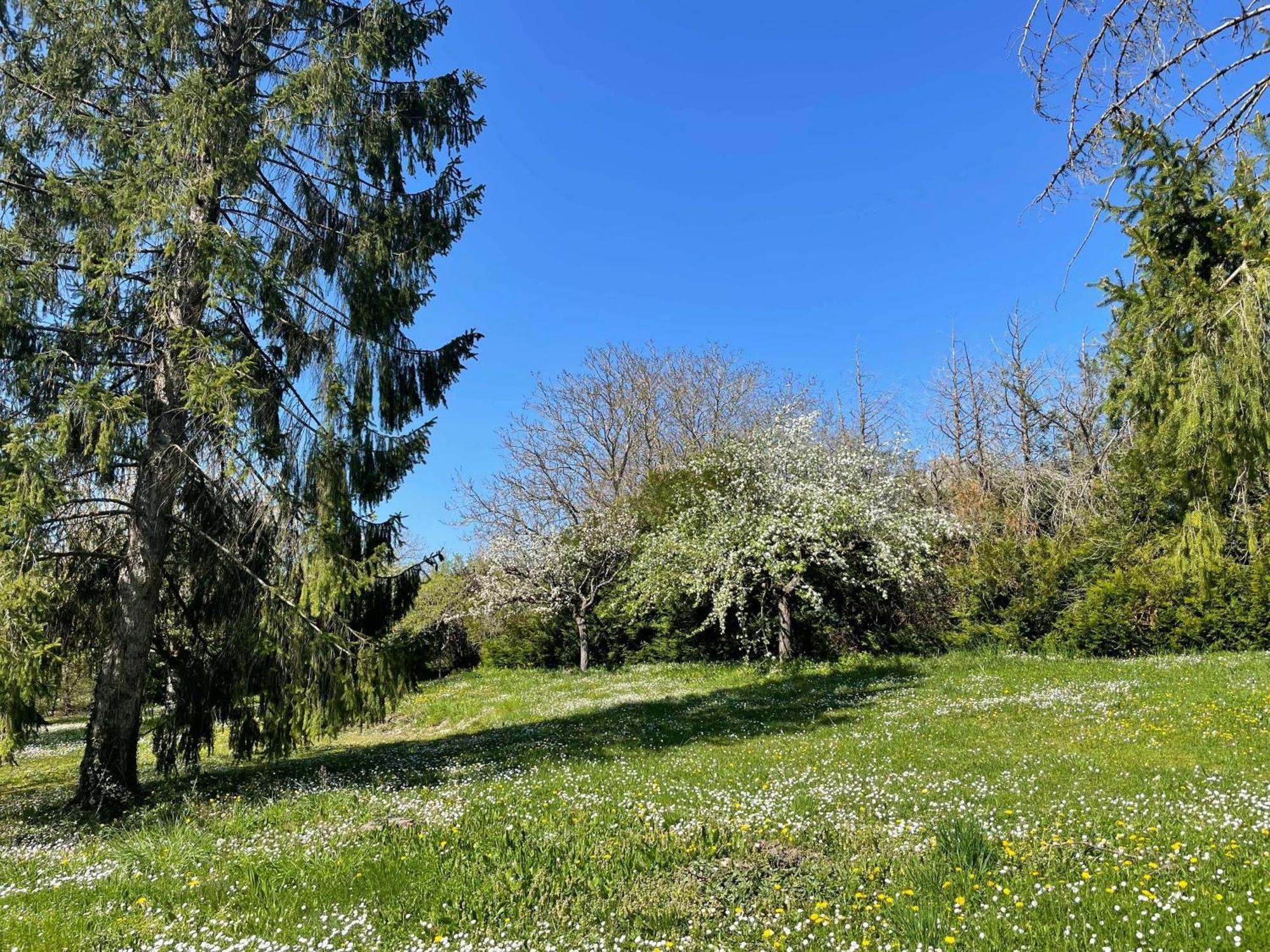 Des Roux Et Des Pious Suite De 35 A 60 M2 Et 3 Chambres Pour Groupe De 2 A 6 Personnes Civray-de-Touraine Exteriér fotografie